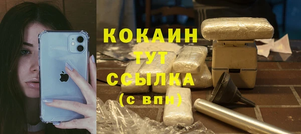 индика Бугульма