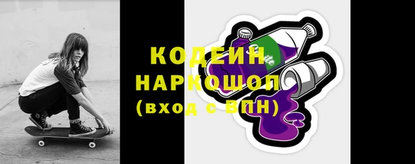 индика Бугульма