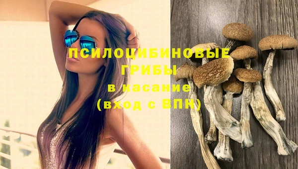 индика Бугульма