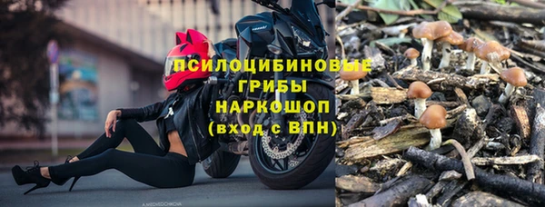 дурь Верхний Тагил