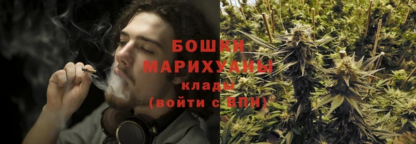 гидропоника Бородино