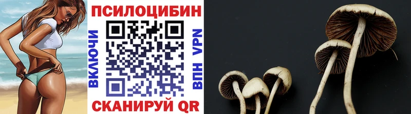 как найти закладки  Кирово-Чепецк  Галлюциногенные грибы Psilocybe 